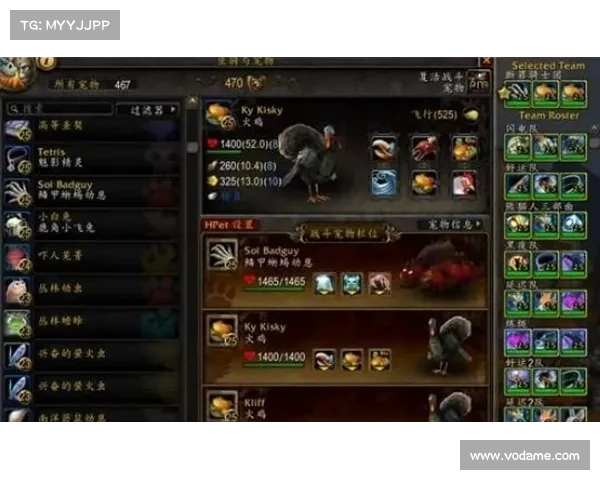 魔兽世界宠物专精切换：玩转属性装备